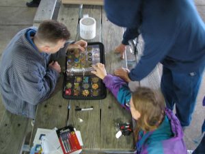 Geocaching and coin collection merge hobbies into geocoin collecting.