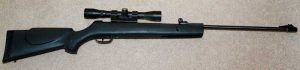 Gamo Shadow 1000