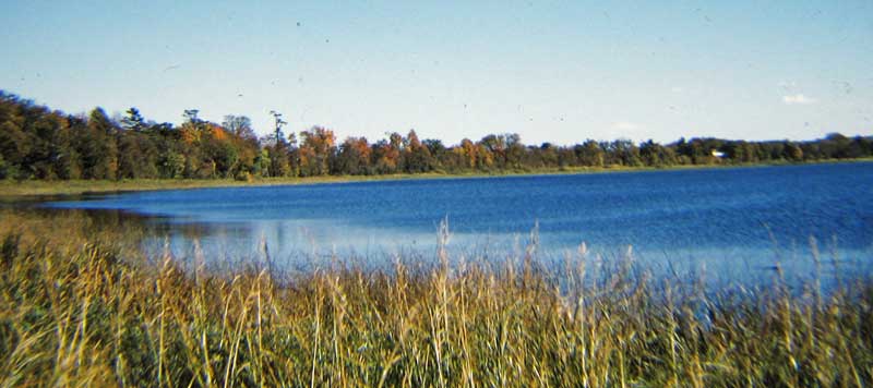 View of Little Butternut Lake from the north end boat landing.