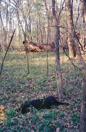 Where Jake took his last breath