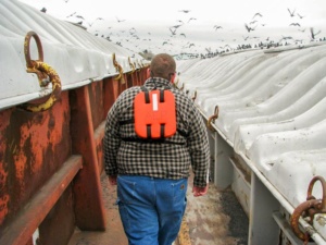 Following deckhand as we walk on the tow. Birds flock to the tops of the grain barges.