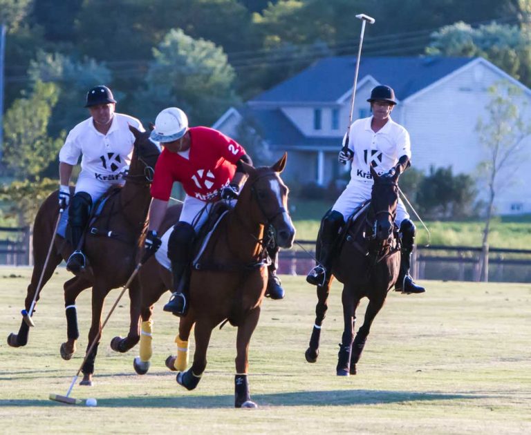 Original Image - Polo Match"