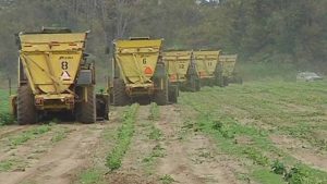 Harvesting beans in field (similar)