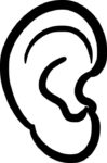 ear