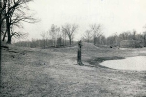 Henriksen's Pond - Low water level